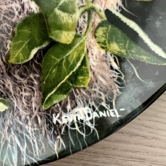 Knowles Kevin Daniels Baltimore Oriole Plate - Picture 2 of 3